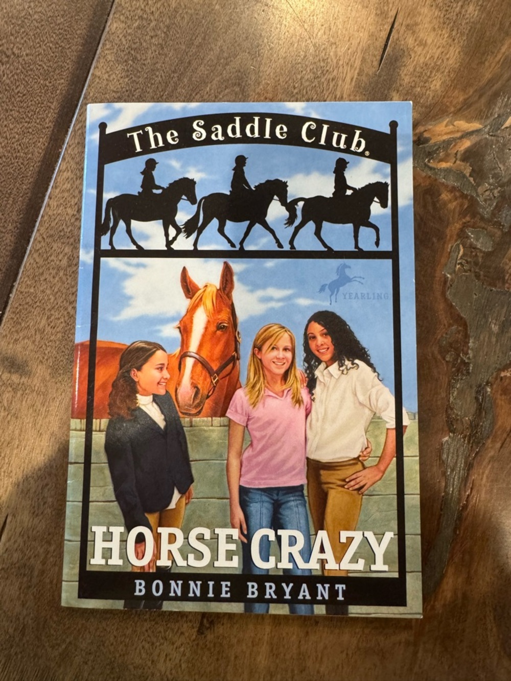 Horse Crazy - Kids Learning Book (Blue)